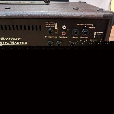 Traynor ACOUSTIC MASTER STANDARD 2